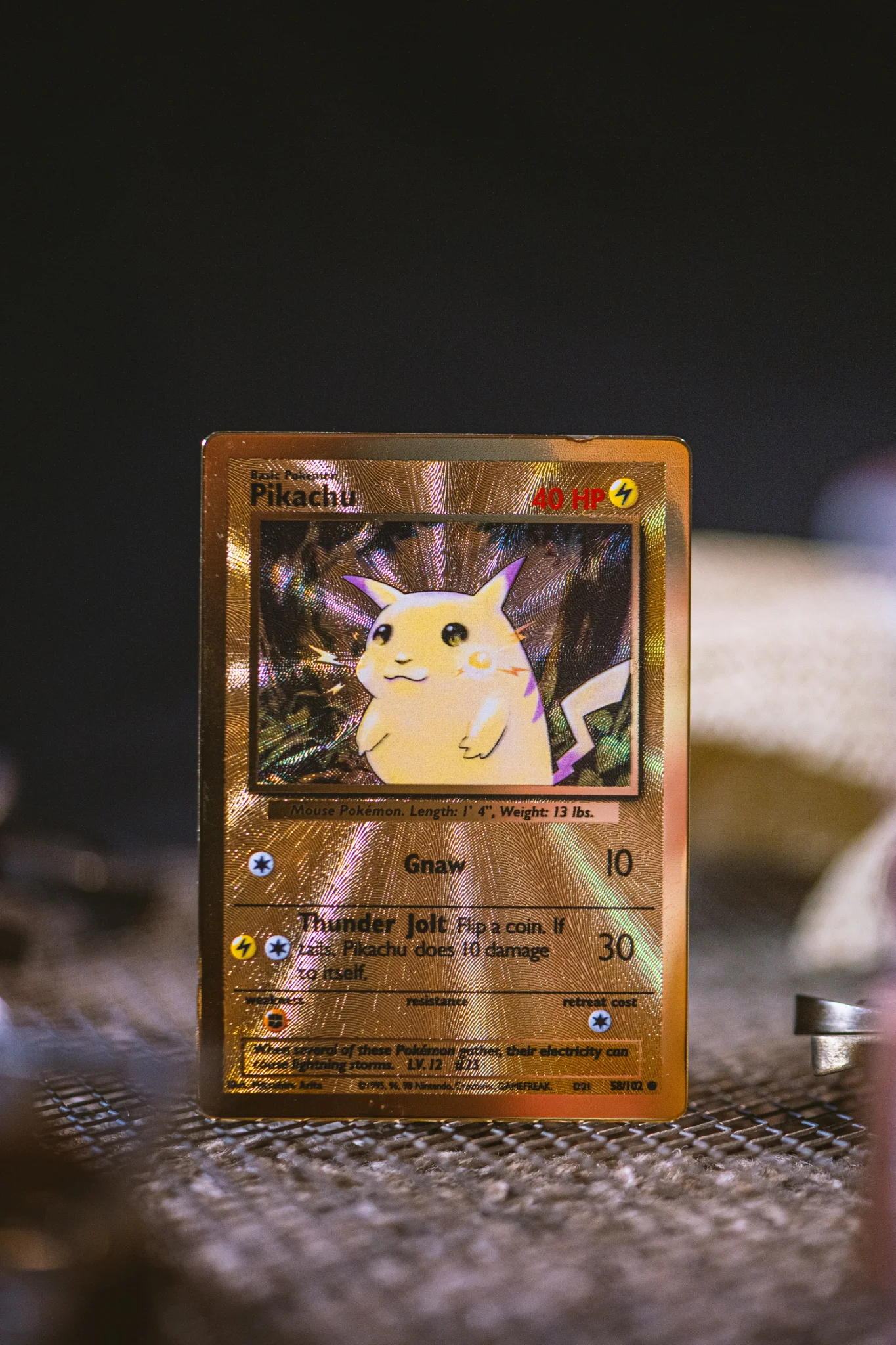 Collector enjoying a local trading card community event